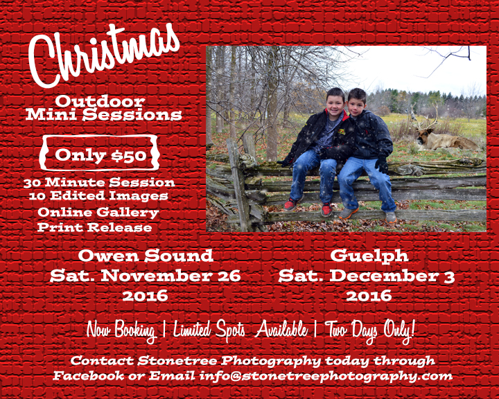Christmas Mini Sessions 2016 Guelph and Owen Sound