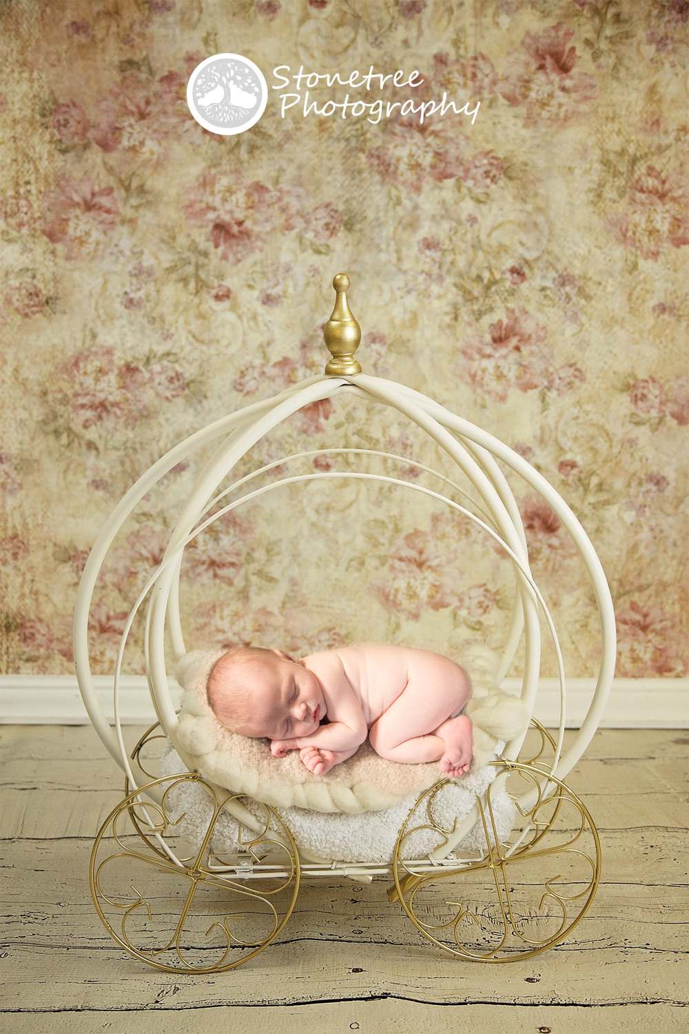 Adelaide | Newborn Session