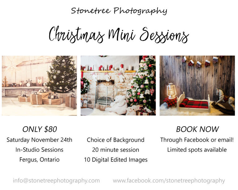Guelph Christmas Mini-sessions
