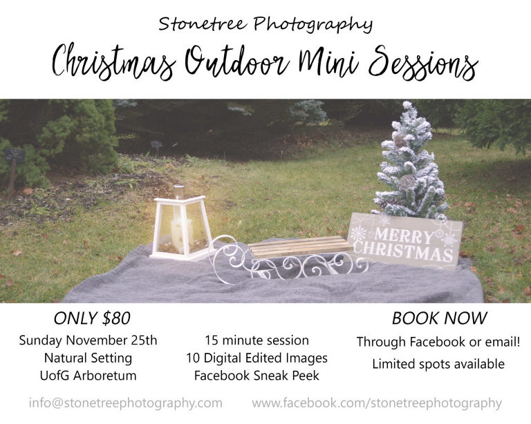 Christmas Outdoor Mini Sessions
