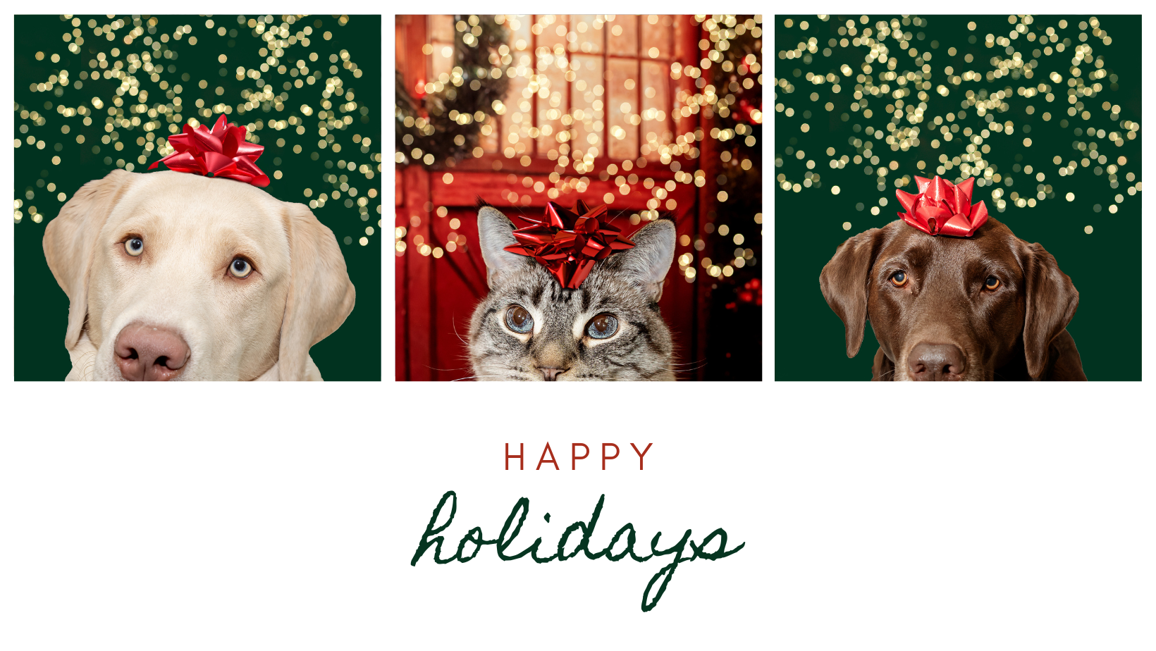 Happy New Year! | 2024