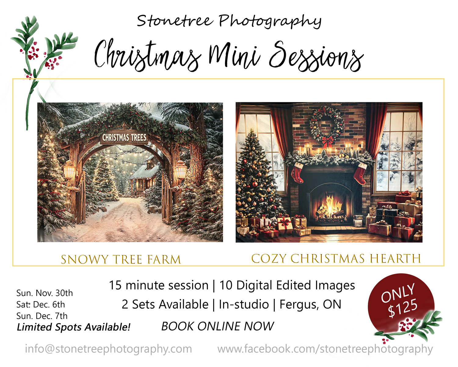 Christmas Mini Sessions 2025